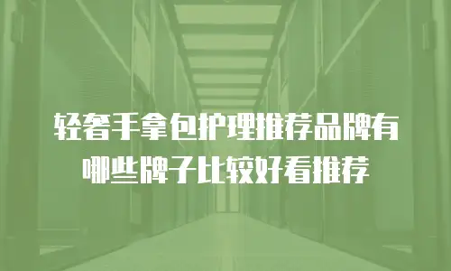 轻奢手拿包护理推荐品牌有哪些牌子比较好看推荐