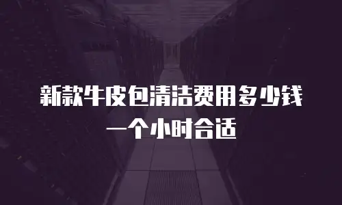 新款牛皮包清洁费用多少钱一个小时合适