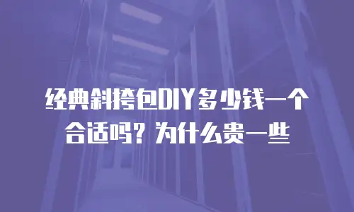 经典斜挎包DIY多少钱一个合适吗？为什么贵一些