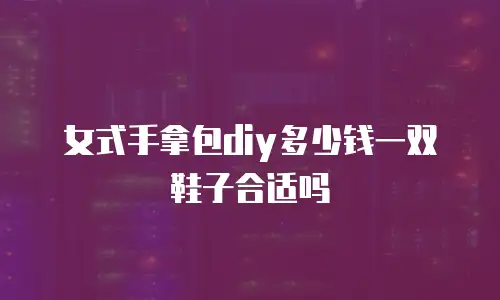 女式手拿包diy多少钱一双鞋子合适吗