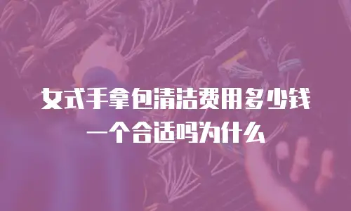 女式手拿包清洁费用多少钱一个合适吗为什么