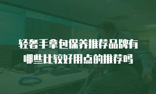 轻奢手拿包保养推荐品牌有哪些比较好用点的推荐吗