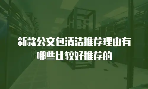 新款公文包清洁推荐理由有哪些比较好推荐的