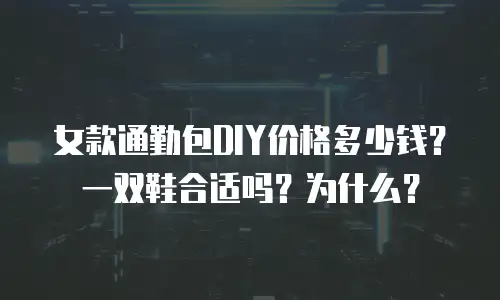女款通勤包DIY价格多少钱？一双鞋合适吗？为什么？