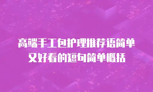 高端手工包护理推荐语简单又好看的短句简单概括