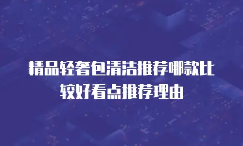 精品轻奢包清洁推荐哪款比较好看点推荐理由