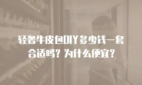 轻奢牛皮包DIY多少钱一套合适吗？为什么便宜？