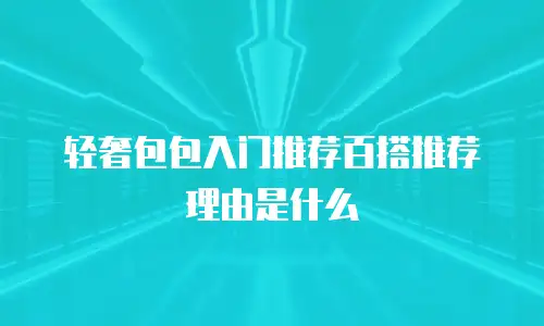 轻奢包包入门推荐百搭推荐理由是什么