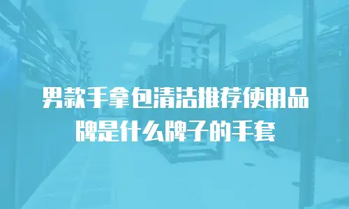 男款手拿包清洁推荐使用品牌是什么牌子的手套