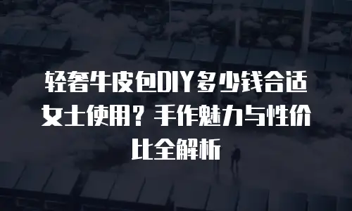 轻奢牛皮包DIY多少钱合适女士使用？手作魅力与性价比全解析