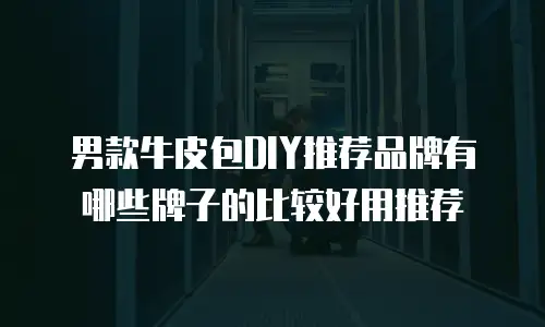 男款牛皮包DIY推荐品牌有哪些牌子的比较好用推荐