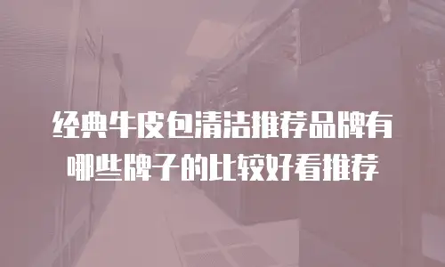 经典牛皮包清洁推荐品牌有哪些牌子的比较好看推荐
