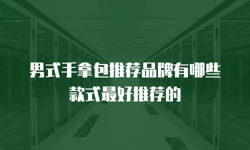 男式手拿包推荐品牌有哪些款式最好推荐的