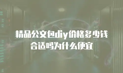 精品公文包diy价格多少钱合适吗为什么便宜