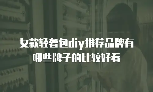 女款轻奢包diy推荐品牌有哪些牌子的比较好看