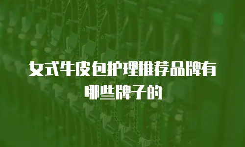 女式牛皮包护理推荐品牌有哪些牌子的