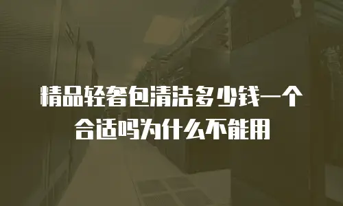 精品轻奢包清洁多少钱一个合适吗为什么不能用