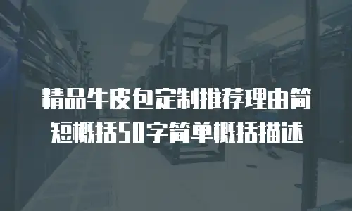 精品牛皮包定制推荐理由简短概括50字简单概括描述