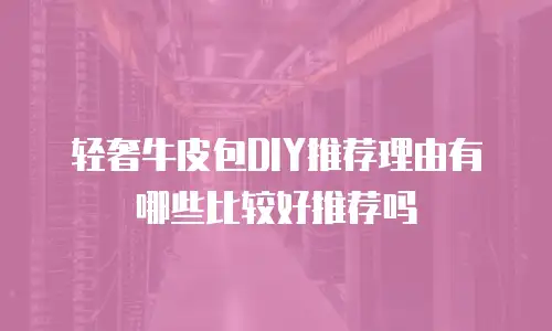 轻奢牛皮包DIY推荐理由有哪些比较好推荐吗