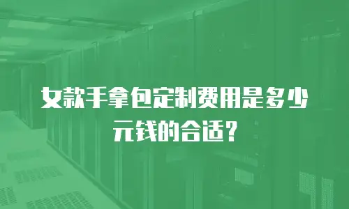 女款手拿包定制费用是多少元钱的合适？