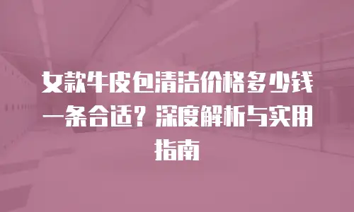 女款牛皮包清洁价格多少钱一条合适？深度解析与实用指南