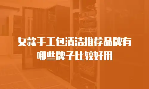 女款手工包清洁推荐品牌有哪些牌子比较好用
