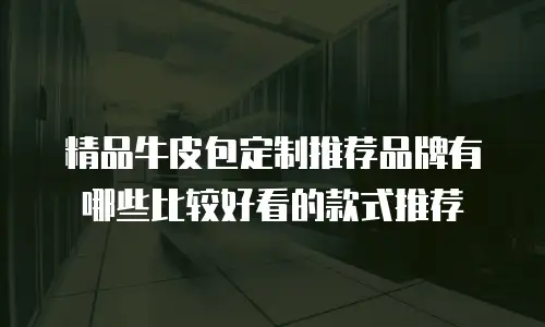 精品牛皮包定制推荐品牌有哪些比较好看的款式推荐