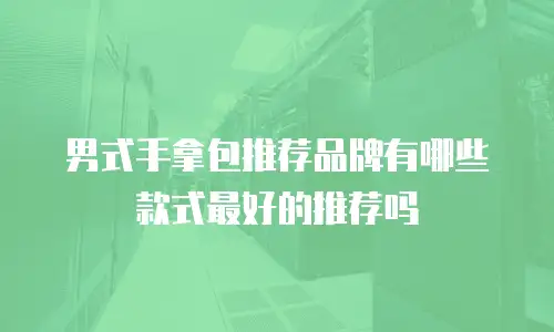 男式手拿包推荐品牌有哪些款式最好的推荐吗