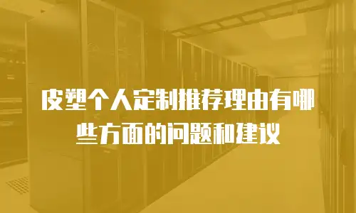 皮塑个人定制推荐理由有哪些方面的问题和建议