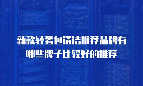 新款轻奢包清洁推荐品牌有哪些牌子比较好的推荐