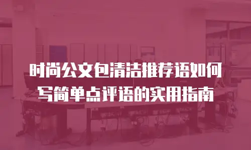 时尚公文包清洁推荐语如何写简单点评语的实用指南