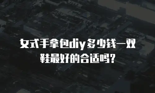 女式手拿包diy多少钱一双鞋最好的合适吗？