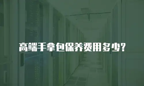 高端手拿包保养费用多少？
