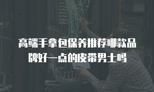 高端手拿包保养推荐哪款品牌好一点的皮带男士吗