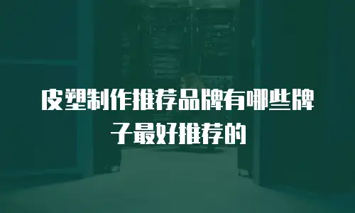 皮塑制作推荐品牌有哪些牌子最好推荐的