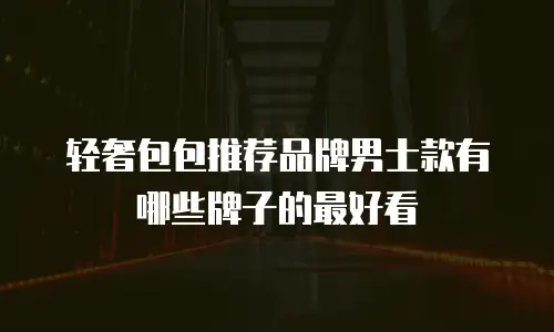 轻奢包包推荐品牌男士款有哪些牌子的最好看