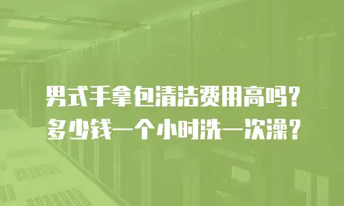男式手拿包清洁费用高吗？多少钱一个小时洗一次澡？
