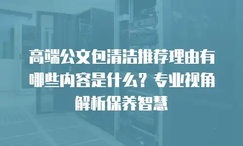 高端公文包清洁推荐理由有哪些内容是什么？专业视角解析保养智慧
