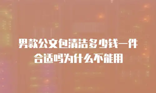男款公文包清洁多少钱一件合适吗为什么不能用