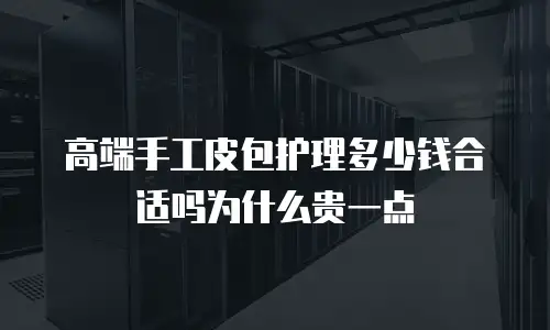 高端手工皮包护理多少钱合适吗为什么贵一点