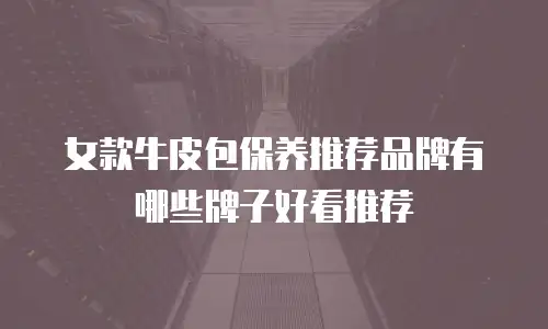 女款牛皮包保养推荐品牌有哪些牌子好看推荐