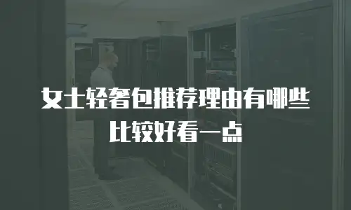 女士轻奢包推荐理由有哪些比较好看一点