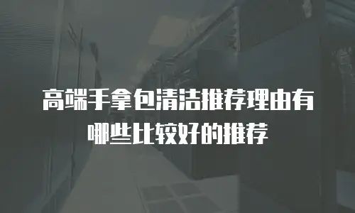 高端手拿包清洁推荐理由有哪些比较好的推荐