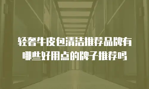 轻奢牛皮包清洁推荐品牌有哪些好用点的牌子推荐吗