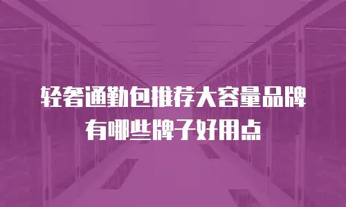 轻奢通勤包推荐大容量品牌有哪些牌子好用点