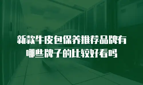新款牛皮包保养推荐品牌有哪些牌子的比较好看吗