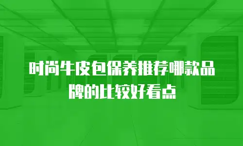 时尚牛皮包保养推荐哪款品牌的比较好看点