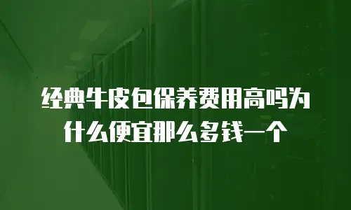 经典牛皮包保养费用高吗为什么便宜那么多钱一个