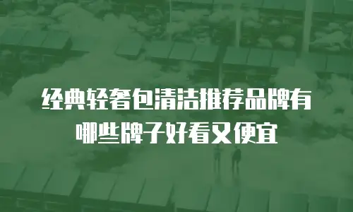 经典轻奢包清洁推荐品牌有哪些牌子好看又便宜