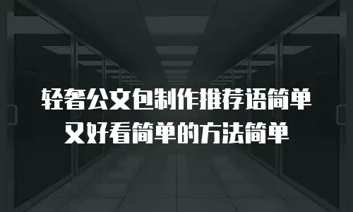 轻奢公文包制作推荐语简单又好看简单的方法简单